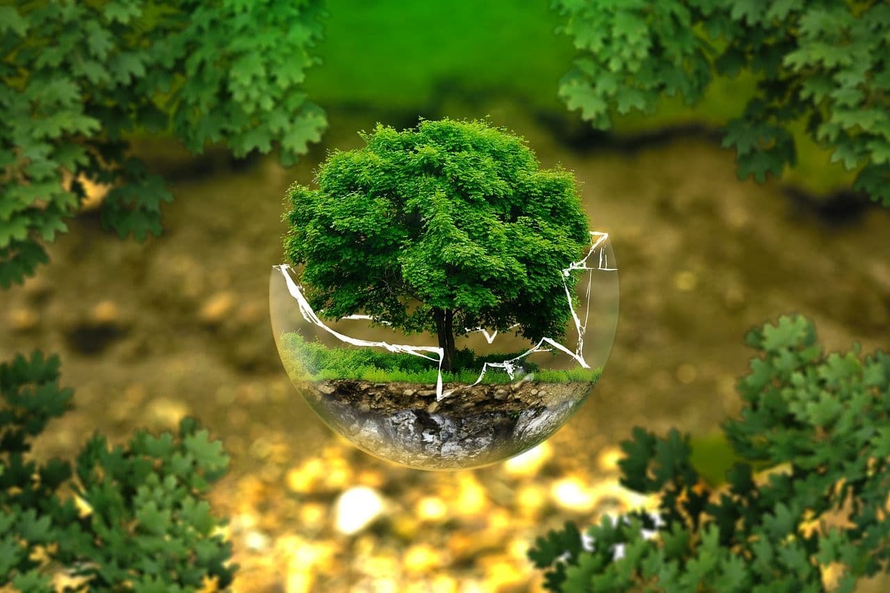 EcoFusion – saveznik kompanijama u ispunjavanju ekoloških obaveza