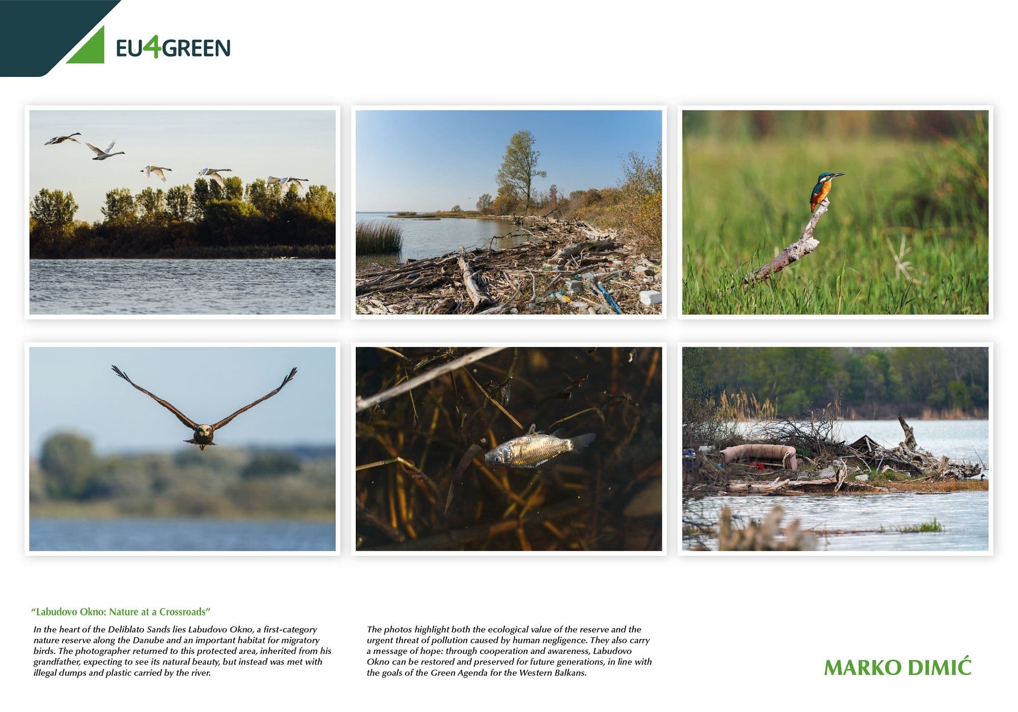 Pobednički serijal Marka Dimića