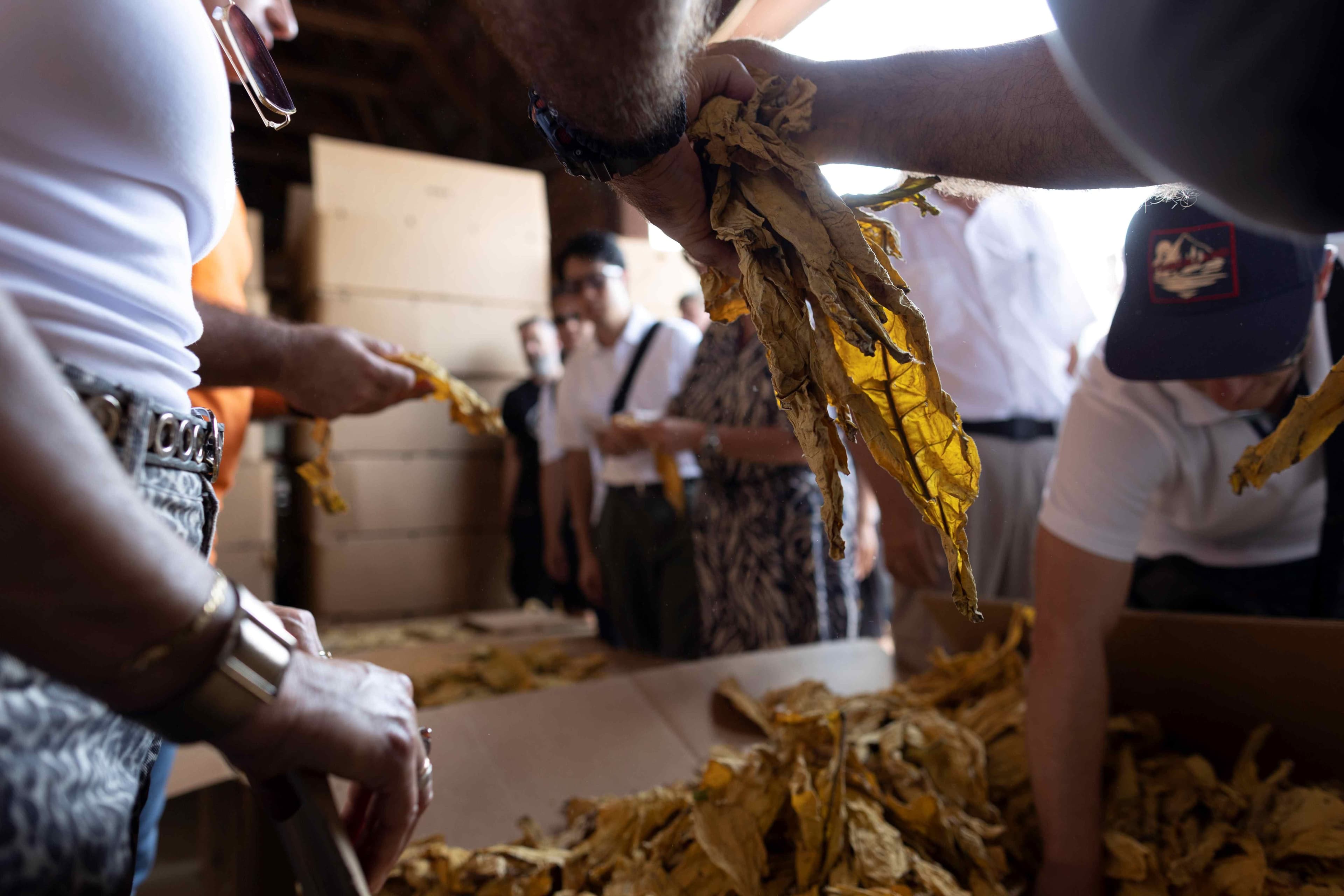 duvan cigarete duvanska industrija