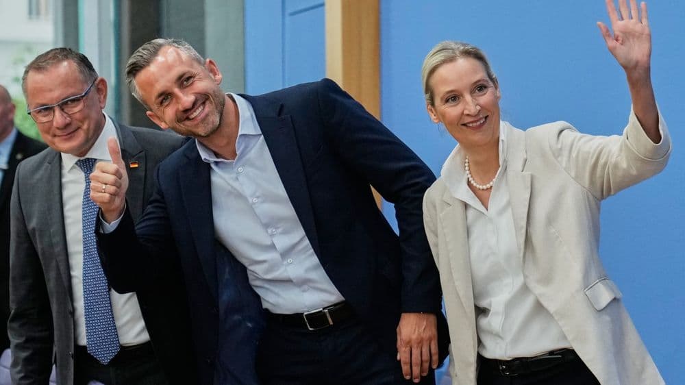 Srbija bi imala benefite od pobede AfD u Nemačkoj, ali je rizik veliki!