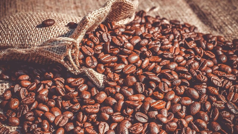 Brazilcima sad bliži Nemci nego Amerikanci: Rekordnu zarada od kafe