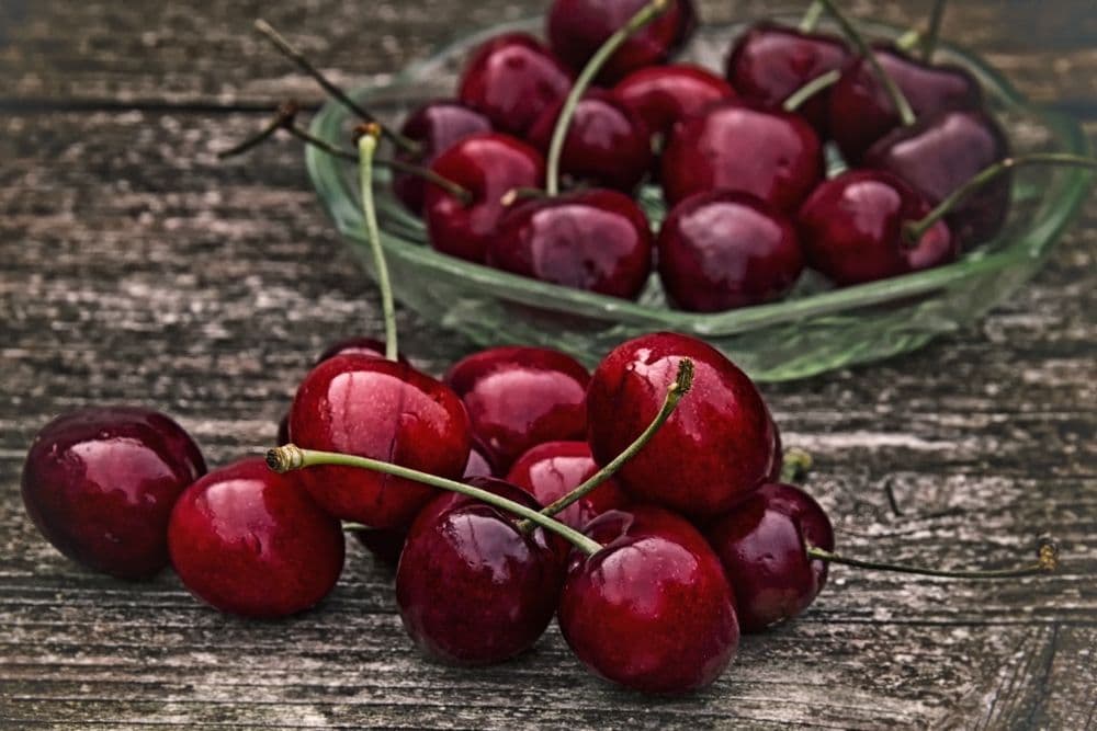 Rekordan rod trešnje i kajsije mogao bi da spusti cene voća