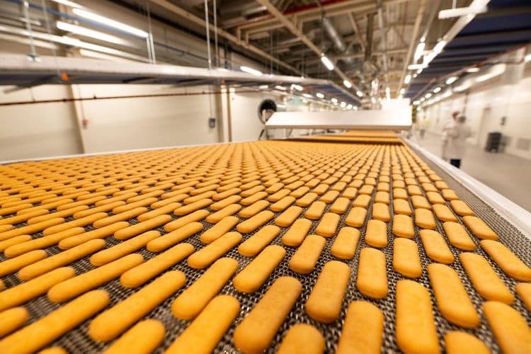 I Afrikanci će sada uživati u plazmi iz Bambija