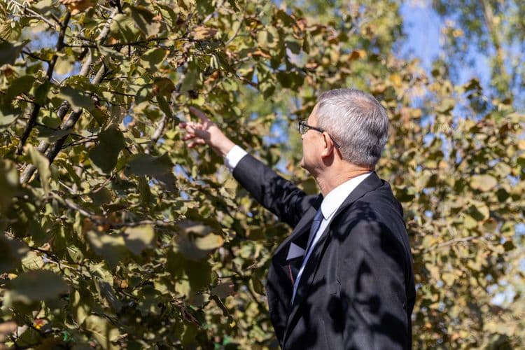 Glamočić: Plan da se proizvodnja lešnika poveća na 40.000 tona