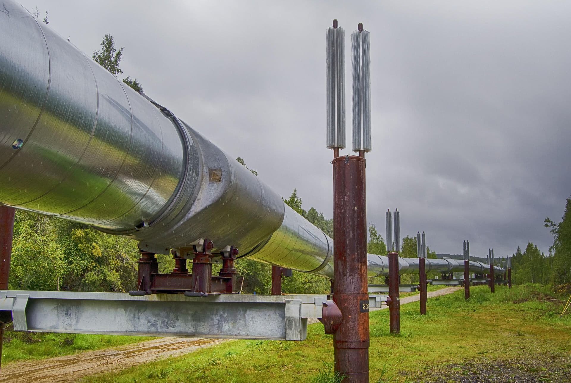 Srbija ima vremena da se snađe za gas samo dve godine