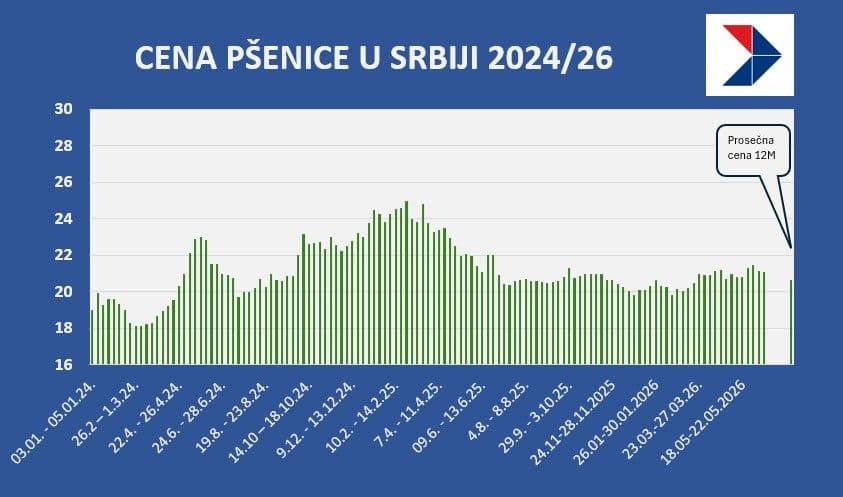 pšenica 26jun.jpg
