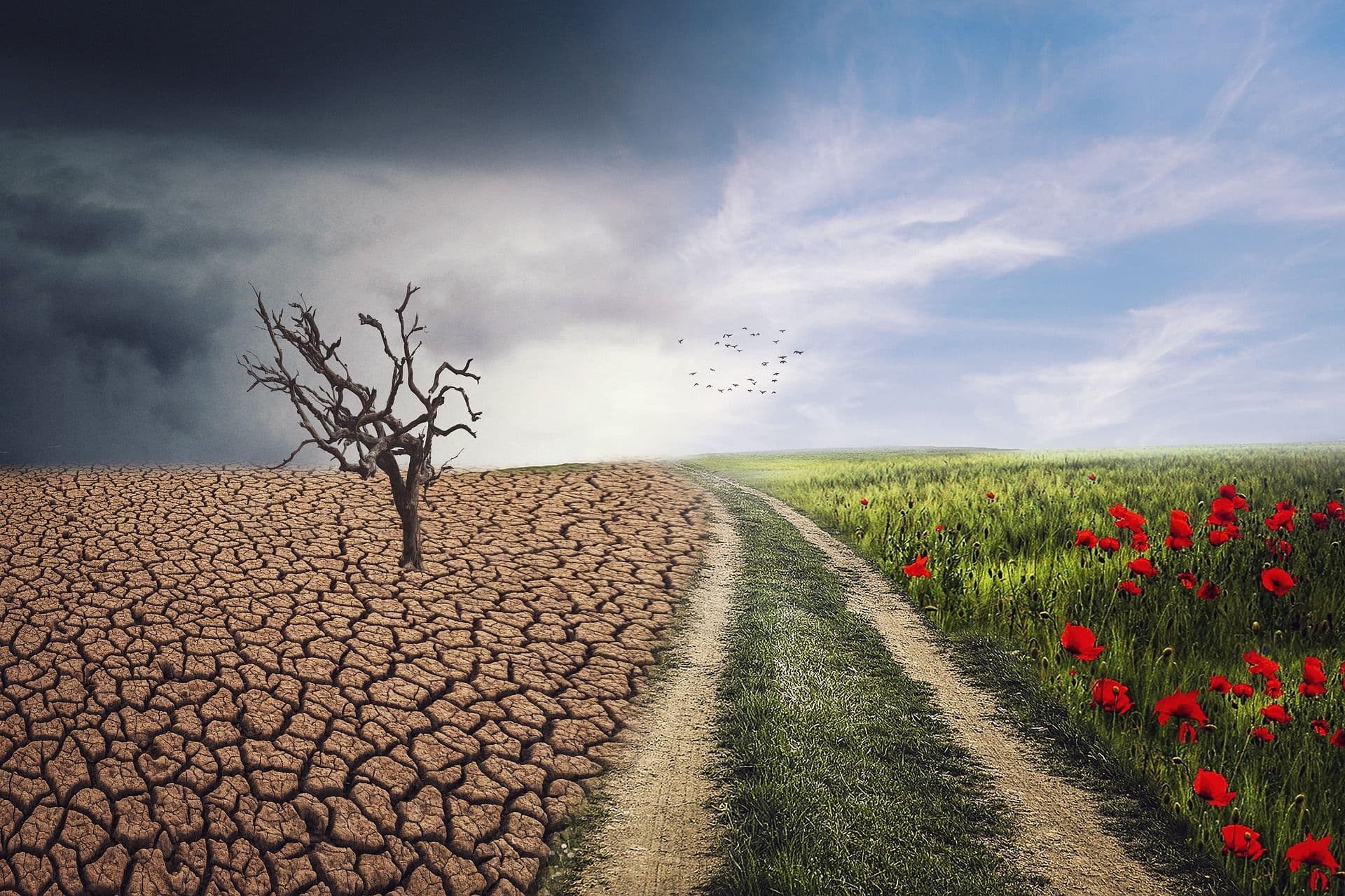 Klimatski plan EIB-a za jeftiniju i sigurniju energiju