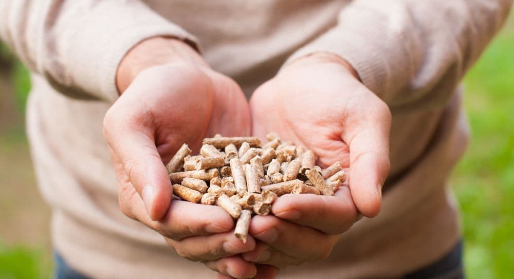 Umesto "proverenog i kvalitetnijeg", peleta nema ili je skuplji