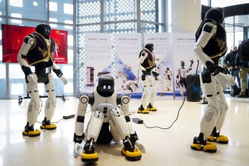 Srbiji predstavljeni kineski čovekoliki roboti, možda bi mogla i da ih pravi