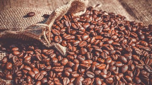 Brazilcima sad bliži Nemci nego Amerikanci: Rekordnu zarada od kafe