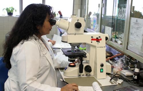 Nauka za privredu: Od laboratorije do tržišta, šta sve mogu da iskoriste kompanije