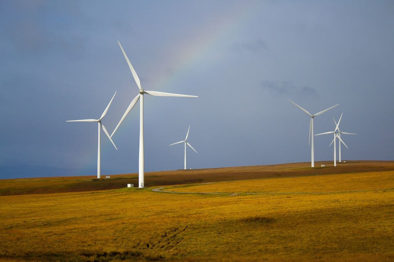"Crni" Tramp drma američkom energetikom: Investicije u zeleno pale za trećinu