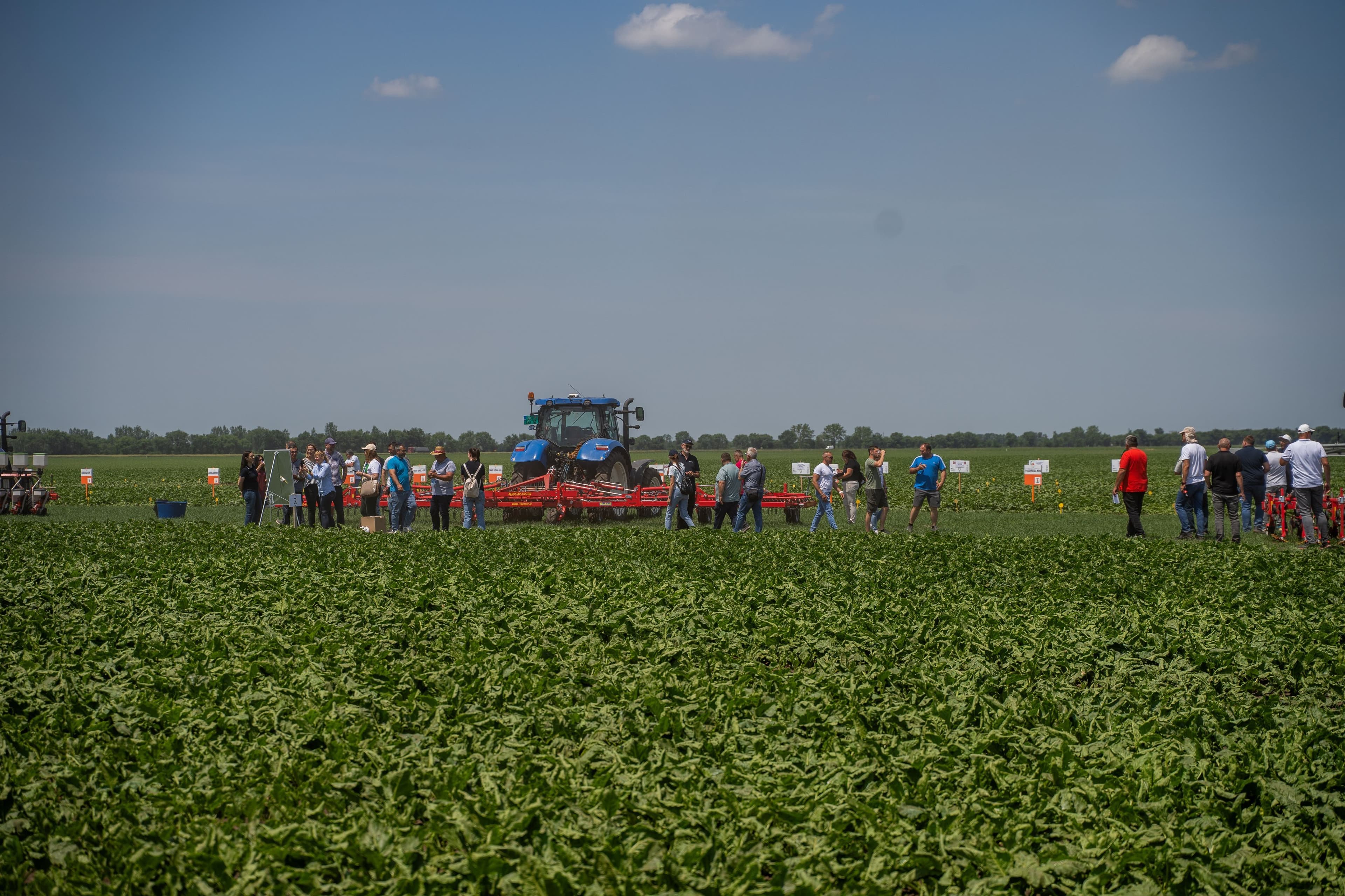 Ratari više slušali struku, prinos šečerne repe i više od 60 tona