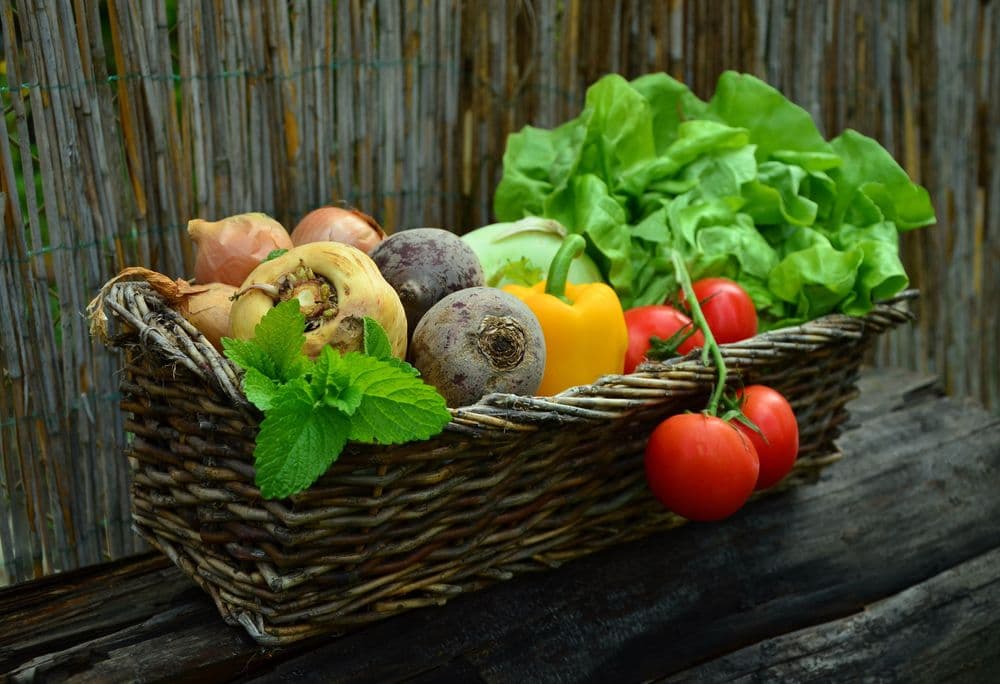 Gajite organski ili imate stare sorte: NLB Organic konkurs traje još malo, fond povećan na 3,5 miliona