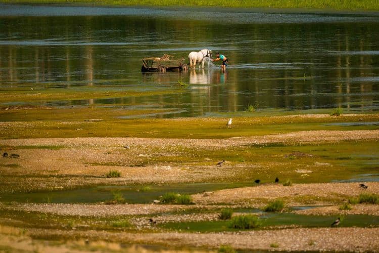 Najniži vodostaj Dunava zaustavio nautički turizam i usporio transport robe