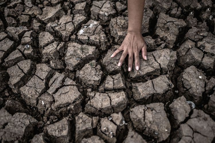 Papreni El Ninjo: Klimatski fenomen mogao bi da košta proizvodnju 395 milijardi evra