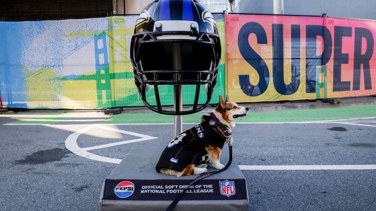 Za 30 sekundi 10 miliona $: Reklama na Super Bowlu „nema cenu“