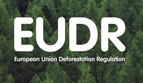 Kako da izvezete proizvode od drveta u EU: Novi vodiči PKS