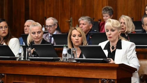 Lazarevićeva u Skupštini predstavila evropske standarde Zakona o potrošačima