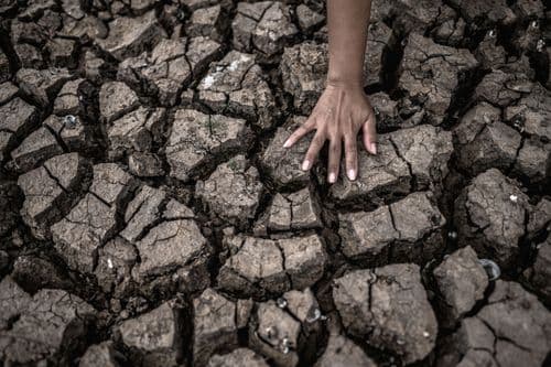 Papreni El Ninjo: Klimatski fenomen mogao bi da košta proizvodnju 395 milijardi evra