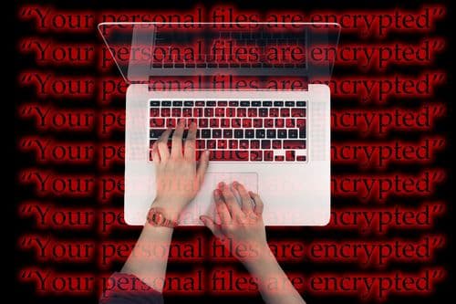 PKS i HUB201 pokreću prvu međunarodnu NIS2 sertifikaciju za sajber bezbednost u Srbiji