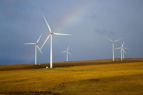Srbija na korak do jednog gigavata energije vetra, ali nove regulative usporavaju razvoj